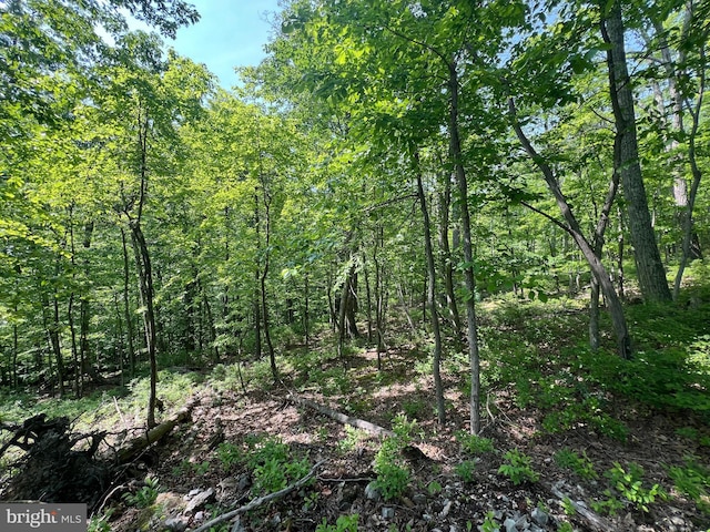 TR13SEC14 High Knob Rd, Old Fields, WV 26845