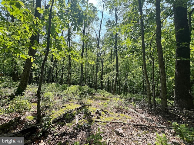 TR13SEC14 High Knob Rd, Old Fields, WV 26845