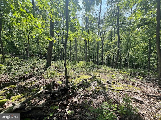 TR13SEC14 High Knob Rd, Old Fields, WV 26845