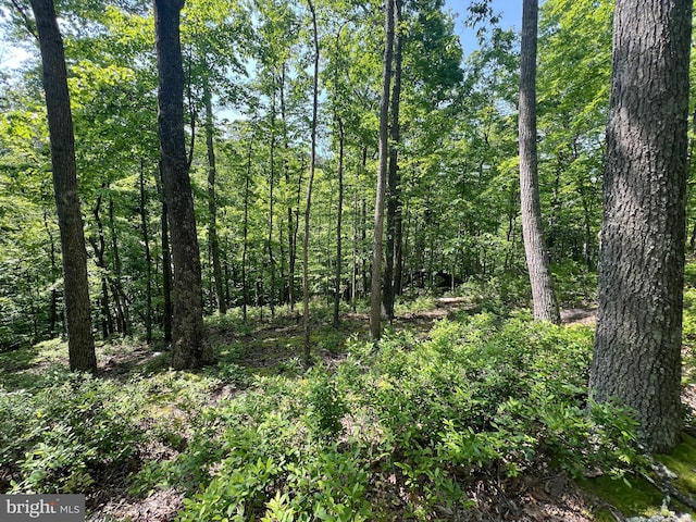 TR13SEC14 High Knob Rd, Old Fields, WV 26845