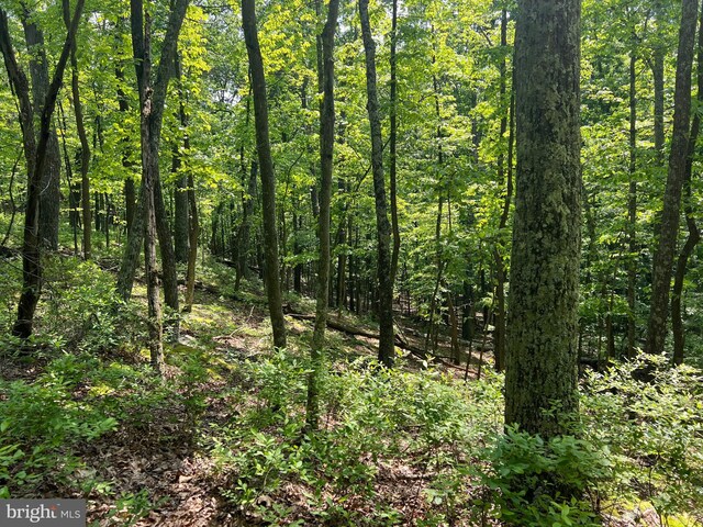 TR13SEC14 High Knob Rd, Old Fields, WV 26845