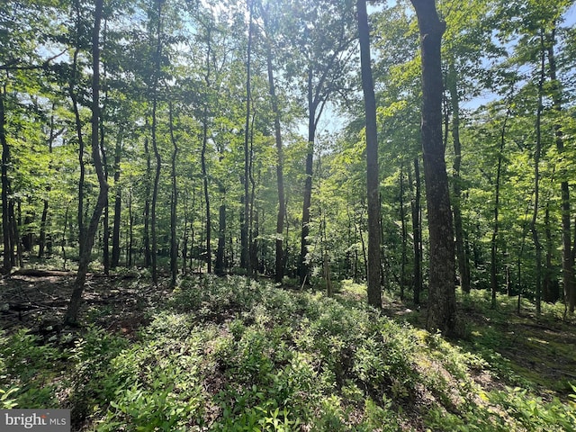 TR13SEC14 High Knob Rd, Old Fields, WV 26845