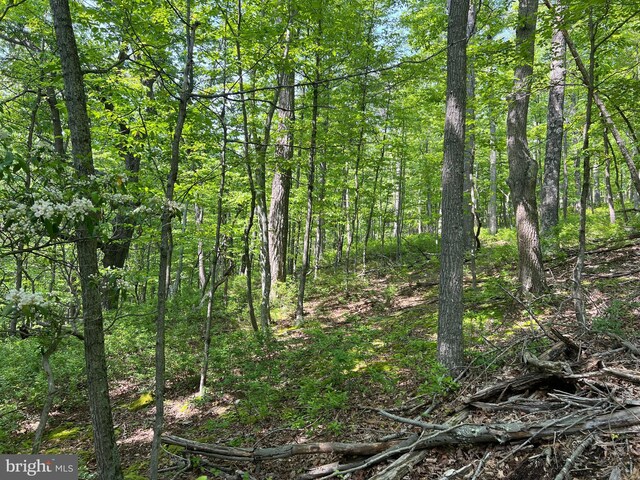 TR13SEC14 High Knob Rd, Old Fields, WV 26845