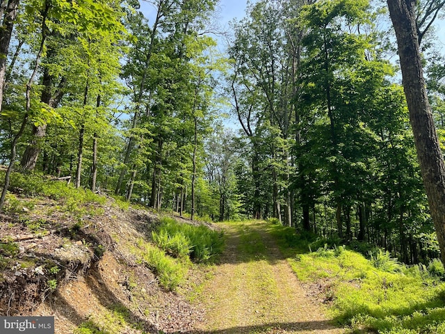 TR13SEC14 High Knob Rd, Old Fields, WV 26845