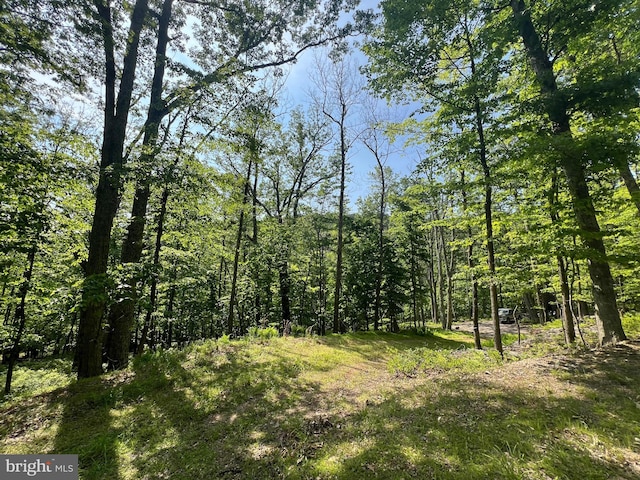 TR13SEC14 High Knob Rd, Old Fields, WV 26845