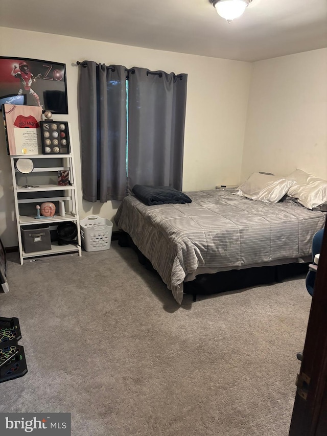 180 E Butler Ave, Vineland, NJ 08360 - view of carpeted bedroom