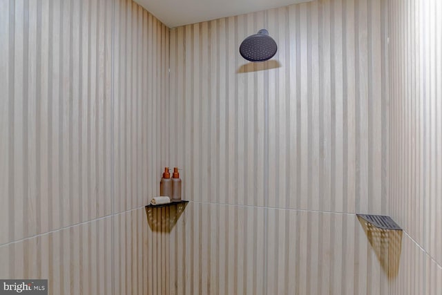 555 Hillcrest Ave, State College, PA 16803 - bathroom view of tiled shower