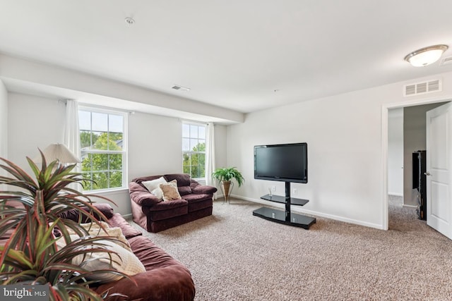 14302 Hidden Forest Dr, Accokeek, MD 20607 - carpeted living area with baseboards