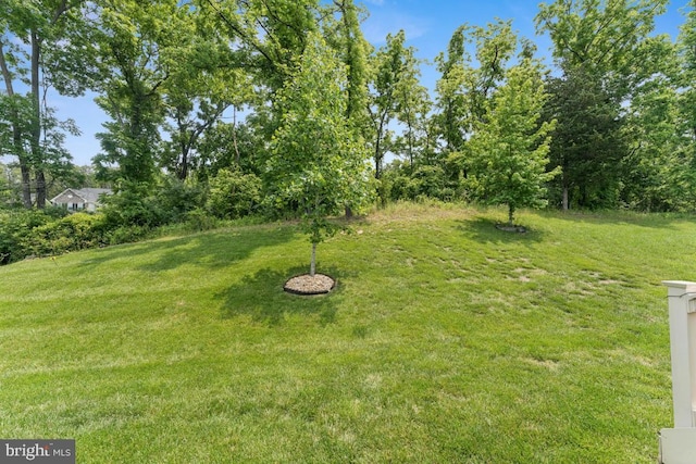 14302 Hidden Forest Dr, Accokeek, MD 20607 - view of grassy yard