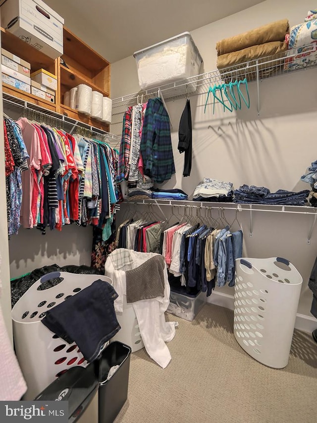 33016 Ethan Allen Dr, Rehoboth Beach, DE 19971 - spacious closet featuring carpet flooring
