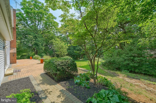 2640 Breezewood Dr, Lancaster, PA 17601 - view of yard featuring a patio