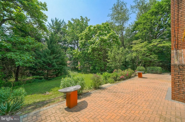 2640 Breezewood Dr, Lancaster, PA 17601 - view of patio