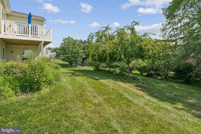 9 Brant Ct, Fredericksburg, VA 22406 - view of grassy yard