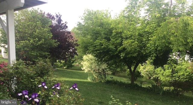 9 Brant Ct, Fredericksburg, VA 22406 - view of grassy yard
