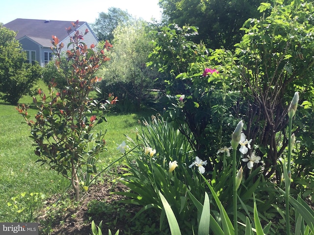 9 Brant Ct, Fredericksburg, VA 22406 - view of yard