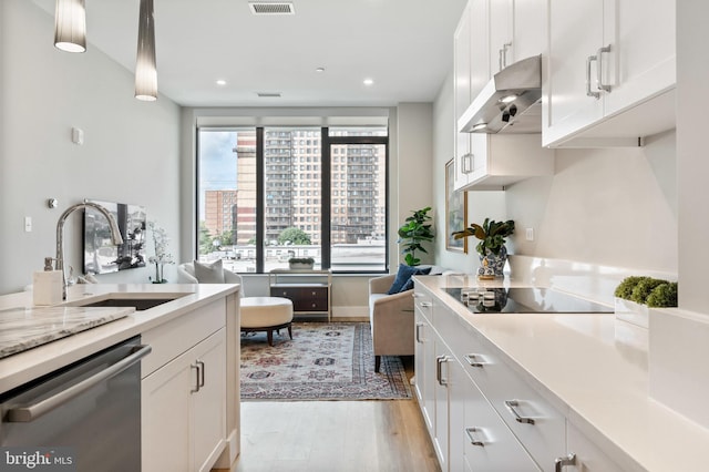 801 N Fairfax St Unit 314, Alexandria, VA 22314 - kitchen featuring stainless steel dishwasher, under cabinet range hood, a sink, light wood-type flooring, and white cabinetry