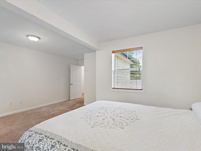 2 Assawoman Ave, Ocean View, DE 19970 - carpeted bedroom with baseboards