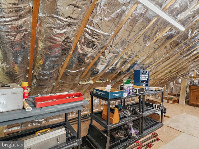 2 Assawoman Ave, Ocean View, DE 19970 - view of unfinished attic