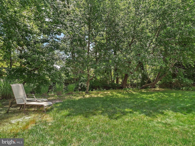 2 Assawoman Ave, Ocean View, DE 19970 - view of green lawn