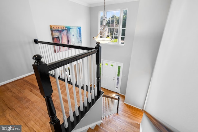12407 Rousseau Ter, North Potomac, MD 20878 - stairs with ornamental molding and wood finished floors