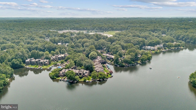 2085 Cobblestone Ln, Reston, VA 20191 - drone / aerial view of a forest and a nearby body of water