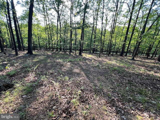 1000 Cardinal View Rd, Paw Paw, WV 25434 - view of woods
