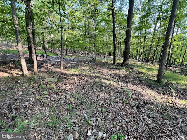 1000 Cardinal View Rd, Paw Paw, WV 25434 - view of nature