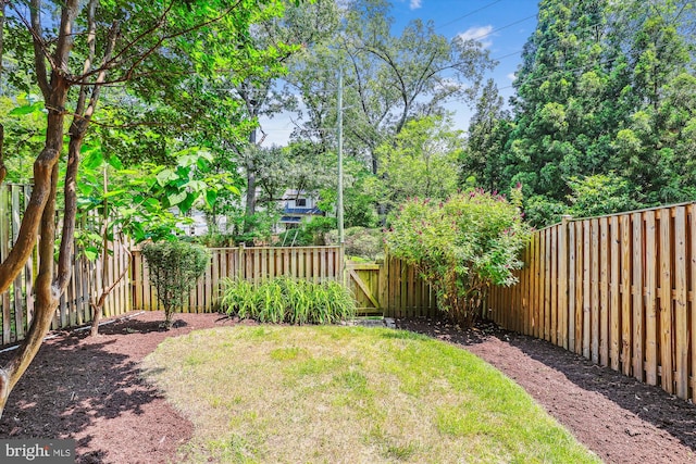 4410 S Pershing Ct, Arlington, VA 22204 - view of yard