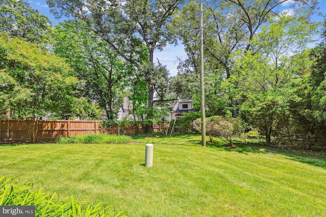 4410 S Pershing Ct, Arlington, VA 22204 - view of yard