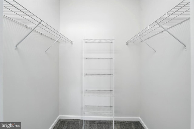 7710 Village Park Dr, Baltimore, MD 21222 - view of spacious closet