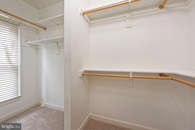 404 Oronoco St, Alexandria, VA 22314 - spacious closet featuring carpet flooring