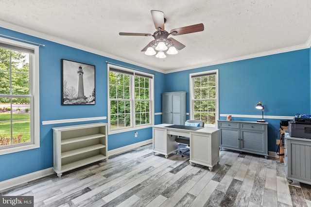 26471 N Sandgates Rd, Mechanicsville, MD 20659 - office space featuring ceiling fan, light wood finished floors, healthy amount of natural light, a textured ceiling, and baseboards