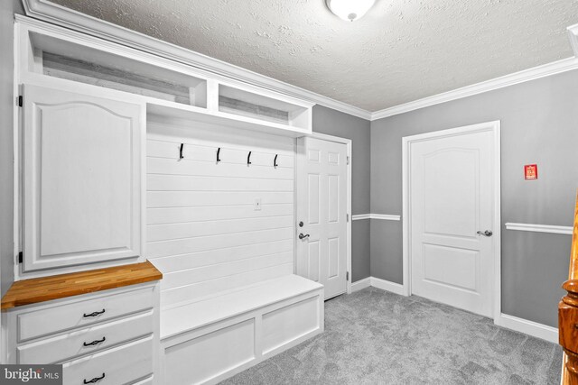 26471 N Sandgates Rd, Mechanicsville, MD 20659 - mudroom with a textured ceiling, light carpet, ornamental molding, and baseboards