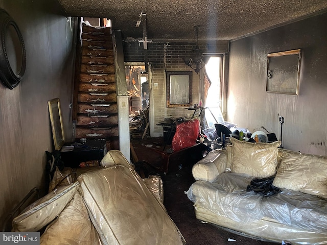 5120 W Stiles St, Philadelphia, PA 19131 - living room featuring carpet flooring