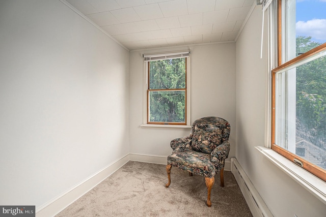 453 Old Elm St, Conshohocken, PA 19428 - sitting room featuring carpet floors, ornamental molding, and a baseboard heating unit