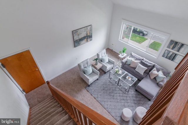 11510 Bucknell Dr Unit 201, Silver Spring, MD 20902 - living area with carpet flooring