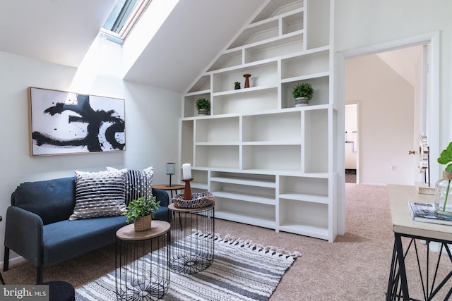 11510 Bucknell Dr Unit 201, Silver Spring, MD 20902 - living area with a skylight, carpet flooring, built in shelves, and vaulted ceiling