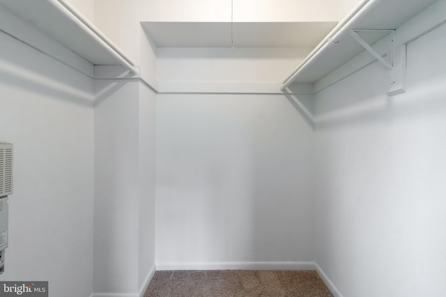 11510 Bucknell Dr Unit 201, Silver Spring, MD 20902 - spacious closet with carpet