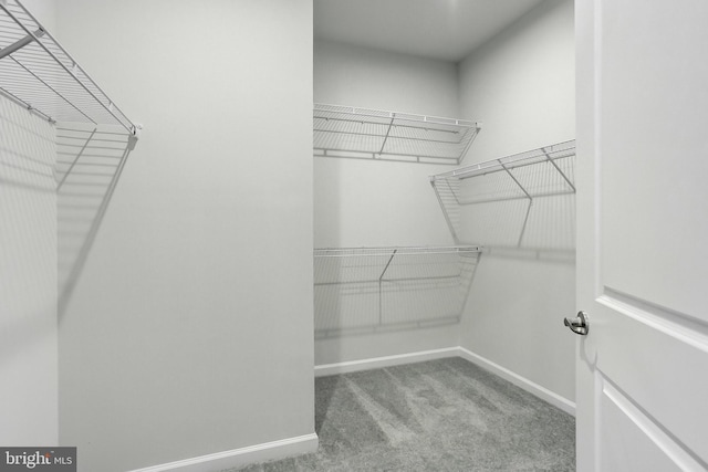 9608 Julia Ln, Owings Mills, MD 21117 - walk in closet with carpet flooring