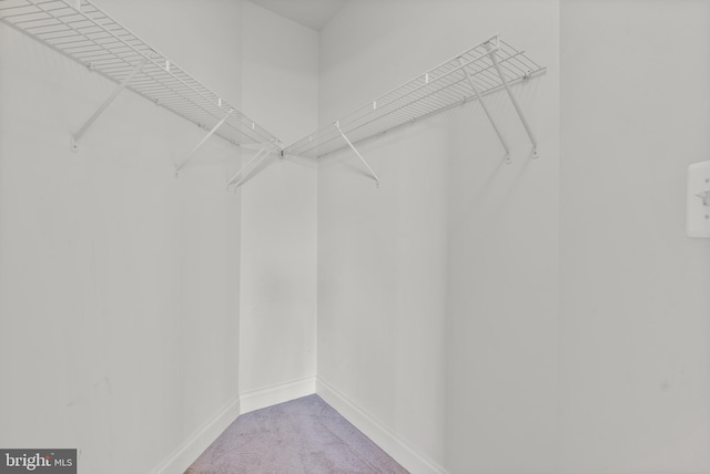 902 Macphail Woods Xing Unit 2I, Bel Air, MD 21015 - spacious closet with carpet