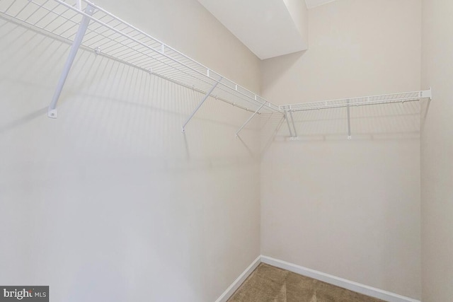 12310 Sandstone St, Waldorf, MD 20601 - walk in closet with carpet floors