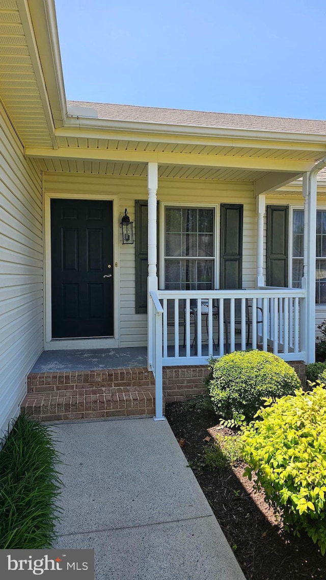 5934 Tappan Ln, Salisbury, MD 21801 - view of exterior entry with a porch