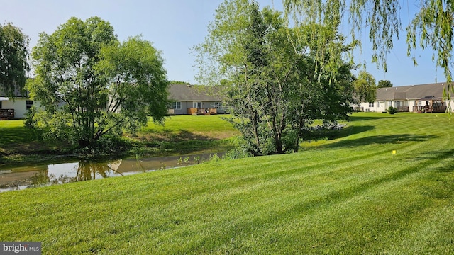 5934 Tappan Ln, Salisbury, MD 21801 - view of green lawn
