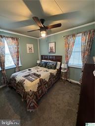 333 Decker Ferry Rd, Mount Bethel, PA 18343 - bedroom featuring multiple windows, dark colored carpet, baseboards, and crown molding