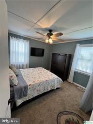 333 Decker Ferry Rd, Mount Bethel, PA 18343 - carpeted bedroom with multiple windows, baseboards, and ceiling fan