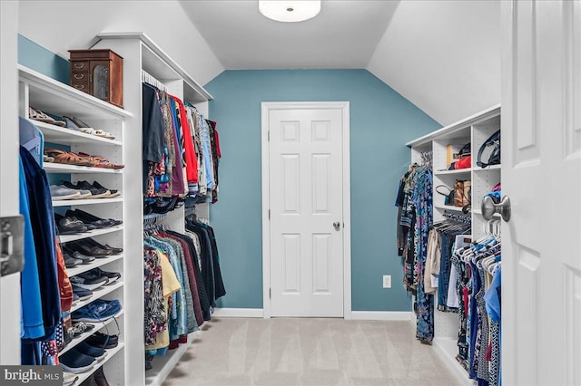 109 Great Circle Rd, Newark, DE 19711 - spacious closet with carpet flooring and vaulted ceiling