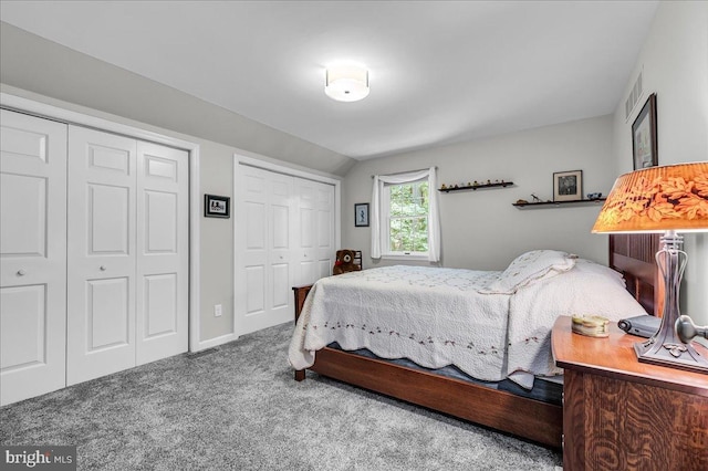 109 Great Circle Rd, Newark, DE 19711 - bedroom with multiple closets, carpet flooring, baseboards, and vaulted ceiling