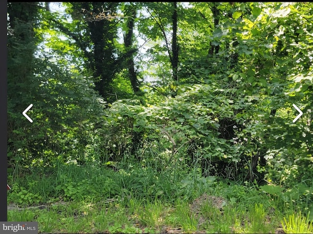 Lorentz Ave, Morgantown, WV 26505