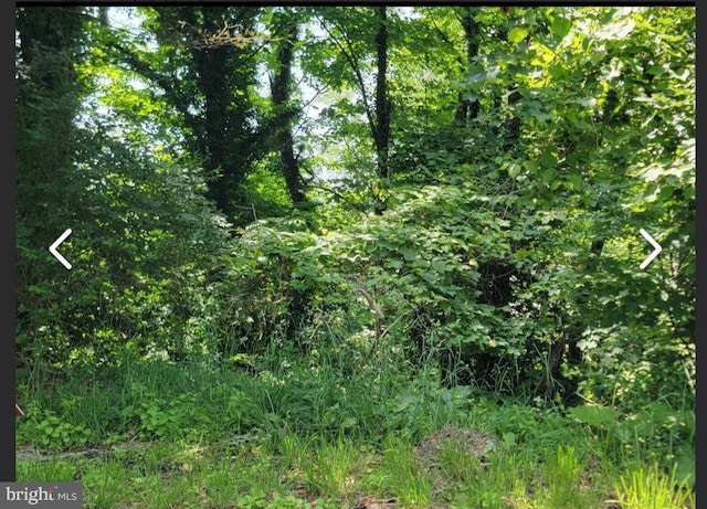 Lorentz Ave, Morgantown, WV 26505