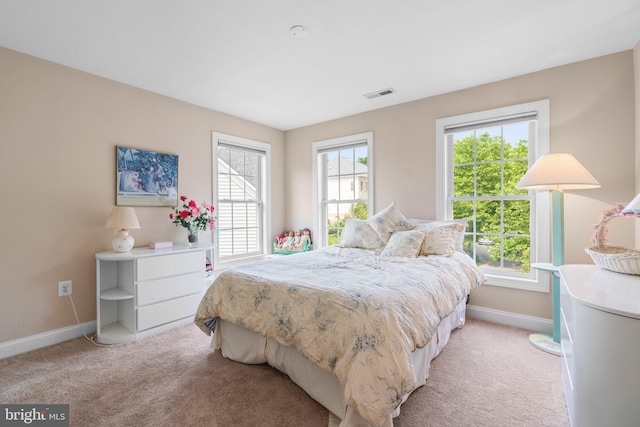 505 Sherwood Mills Ct, Sandy Spring, MD 20860 - bedroom with baseboards and light carpet